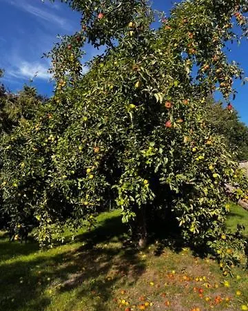Ferien Am Goldberger Goldberg