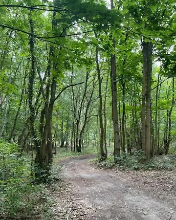 Ferien Am Goldberger * Goldberg